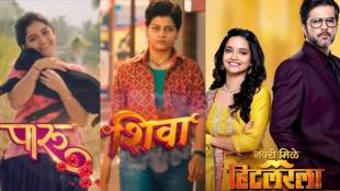 Paaru, shiva, Navri Mile Hitlerla serial trp increase