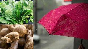 food-for-monsoon