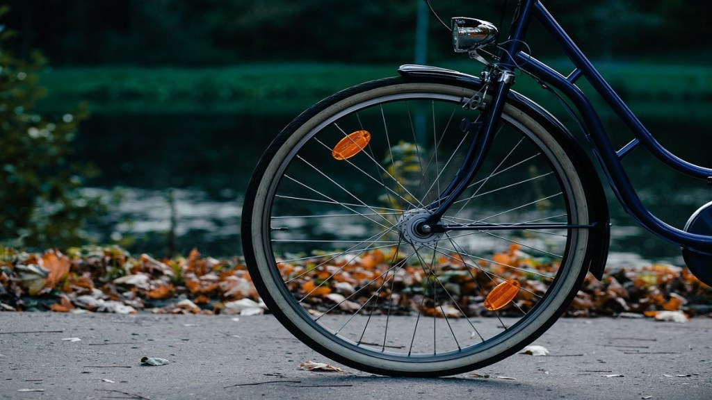 Girgaon, murder, bicycle,