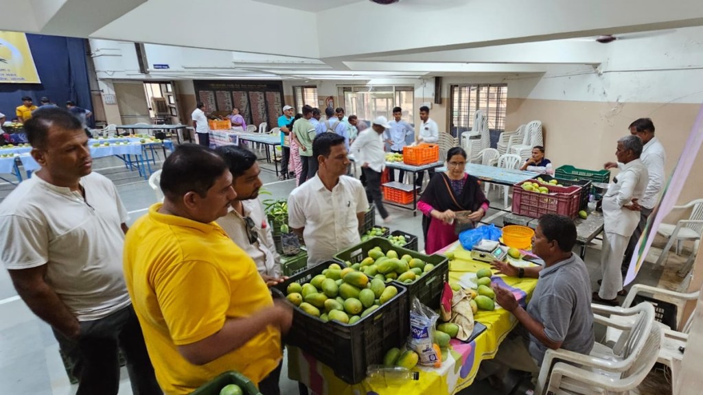 sangli mango festival