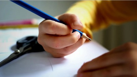 rte admission application form marathi news