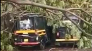 sangli heavy rain marathi news