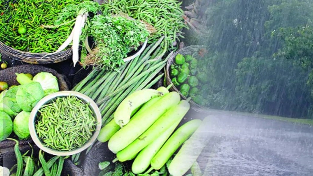 thane vegetable price today marathi news