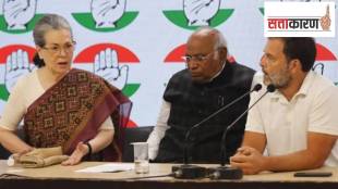 congress lok sabha performance