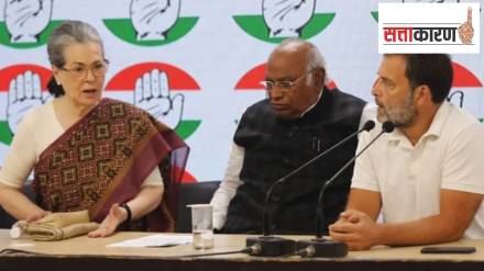 congress lok sabha performance