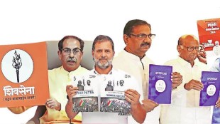 Elections political party voters Manifestos of political parties