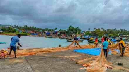 Deep Sea Fishing Ban, Konkan Coast, 1 june to 31 july, Fishing Ban on Konkan Coast, Legal Action, Violators, ratnagiri, raigad, konkan, chiplun, alibag, fishing, marathi news,
