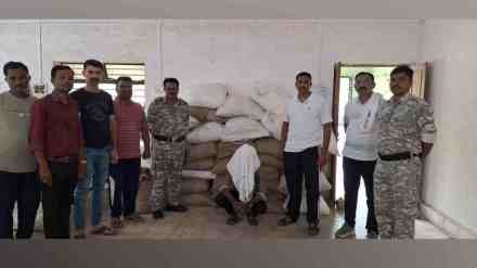 chandrapur district, Police and Agriculture Department, Unauthorized Bt Cotton Seeds, Gondpimpri Raid,