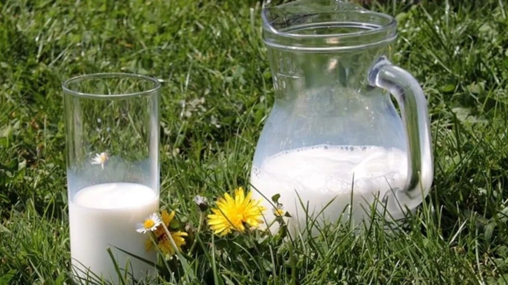 Best Time to Drink Buttermilk - 3