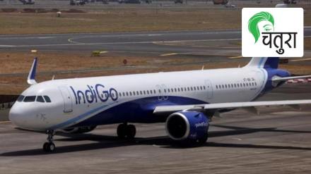 indigo=