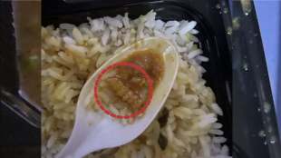 indian railways irctc passanger shares pic of food containing insects in gorakhpur mumbai kashi express post went viral