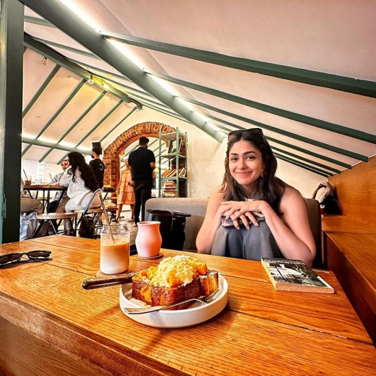 siddhant chaturvedi and mrunal thakur spotted