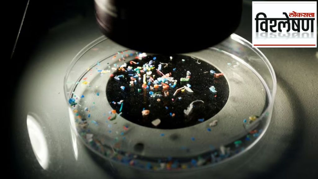 microplastics in human testicles