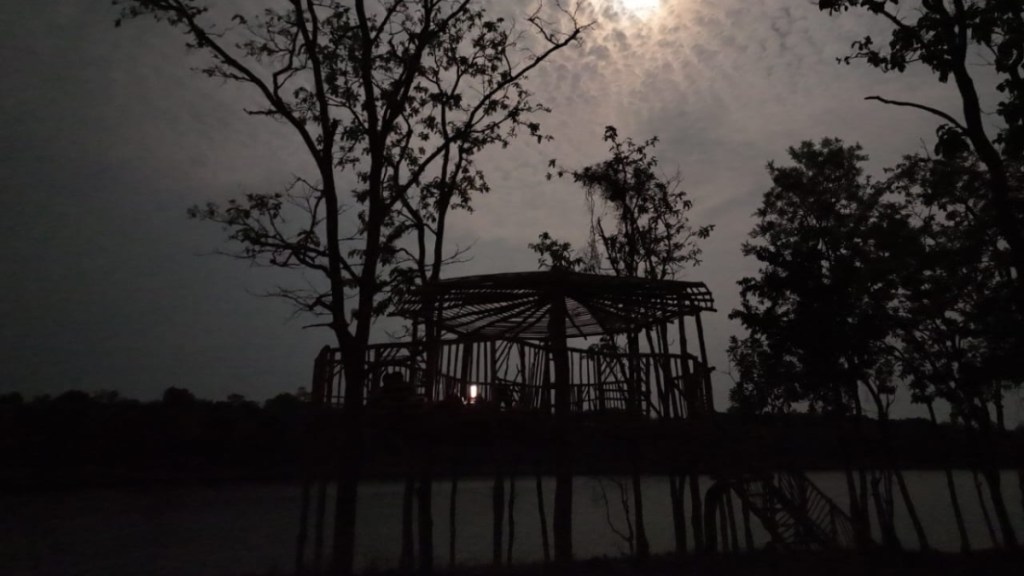 tourists saw silver bears along with tigers and leopards in pench tiger reserve