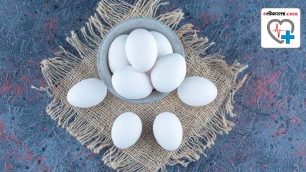 Should we eat eggs in summer or not Should we eat eggs in summer or not