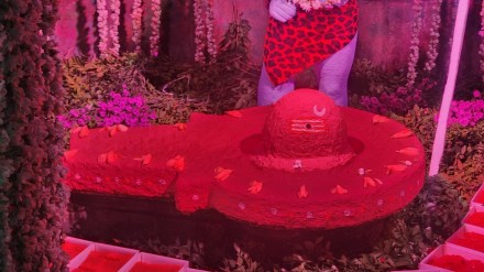 sandal paste on mahadev s pind in dhaneshwar temple