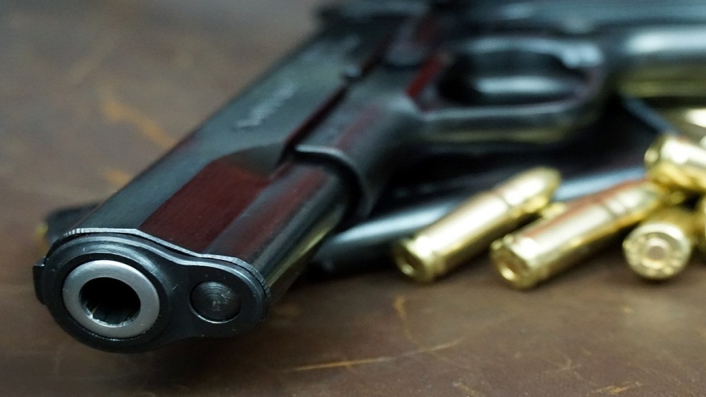 firearms, Thane, seized, firearms, Thane, seized,