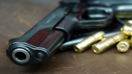 firearms, Thane, seized, firearms, Thane, seized,