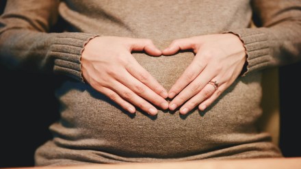 maternity leave, female employee,