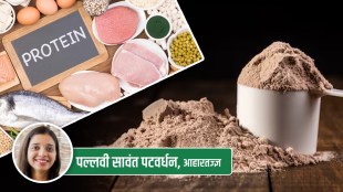 How is protein powder prepared How much protein does it contain