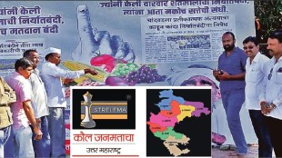 the strelema reviews election result in eight lok sabha constituencies in north maharashtra