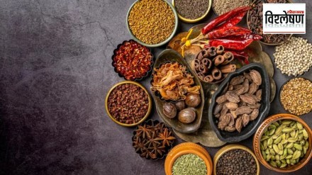 Loksatta explained When will the controversy over Indian spices be resolved