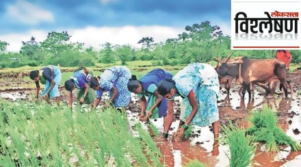 Kharif sowing progress satisfactory