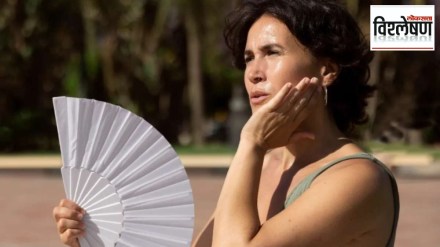 loksatta analysis What is Nautapa when heat is at its worst in nine days period loksatta analysis What is Nautapa when heat is at its worst in nine days period