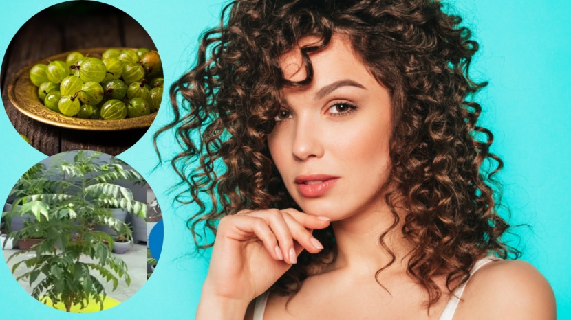 White hair remedy to turn white hair to black curry leaves for and amla juice for white hair