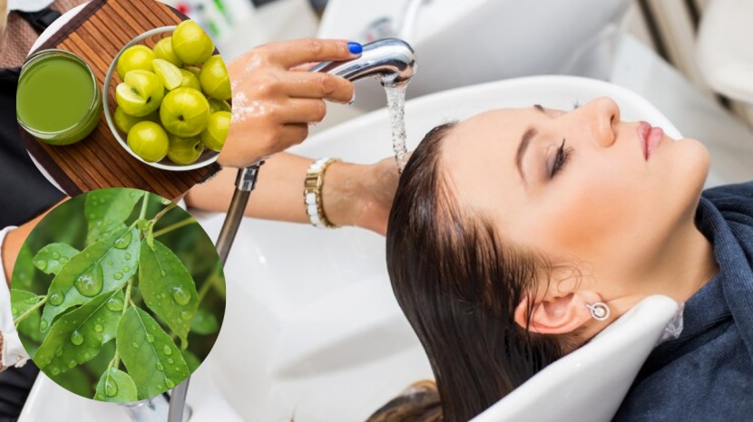 White hair remedy to turn white hair to black curry leaves for and amla juice for white hair