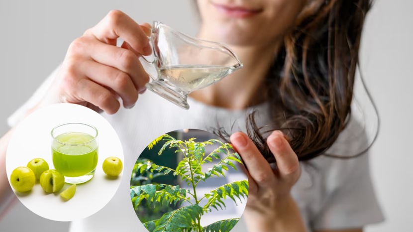 White hair remedy to turn white hair to black curry leaves for and amla juice for white hair
