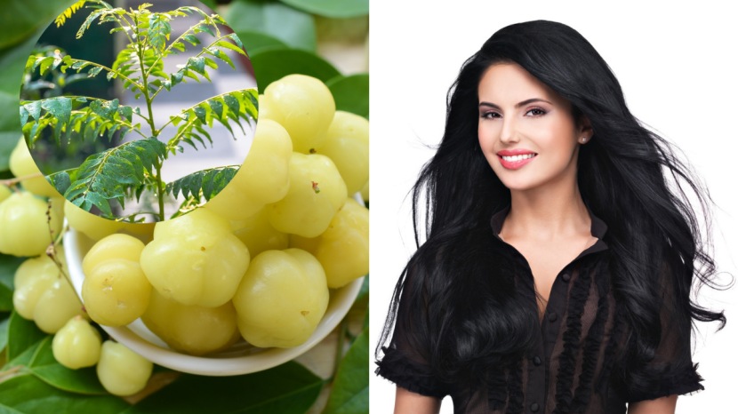 White hair remedy to turn white hair to black curry leaves for and amla juice for white hair