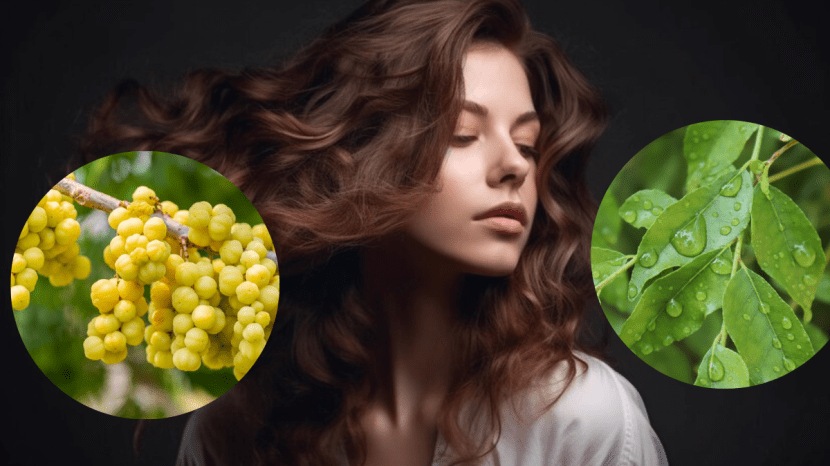 White hair remedy to turn white hair to black curry leaves for and amla juice for white hair