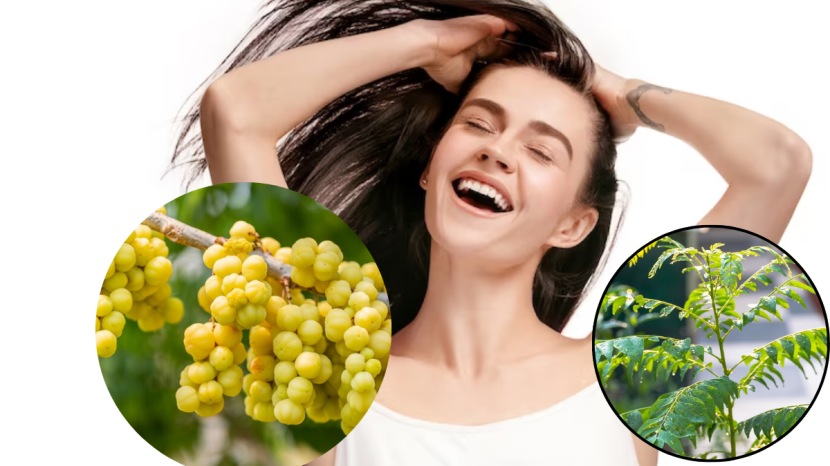 White hair remedy to turn white hair to black curry leaves for and amla juice for white hair