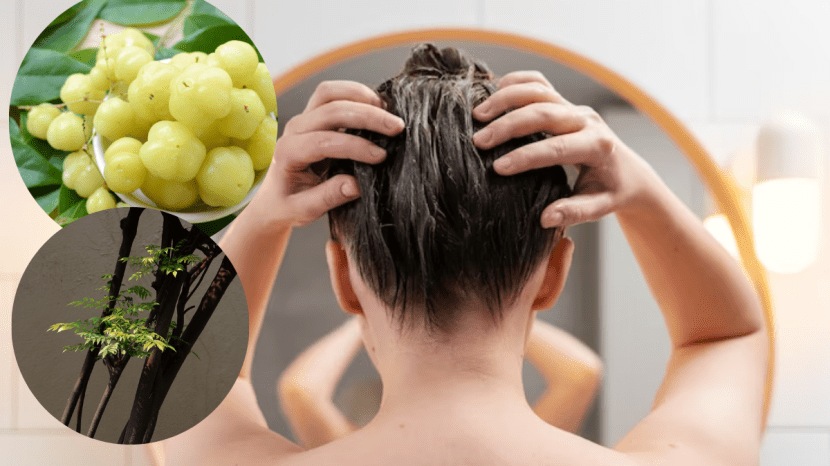 White hair remedy to turn white hair to black curry leaves for and amla juice for white hair