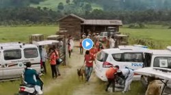 अॅक्शन नाही अन् रोमान्सही नाही, १५ कोटींमध्ये बनलेल्या ‘या’ सिनेमाने कमावले १०२ कोटी, कुठे पाहता येणार? वाचा