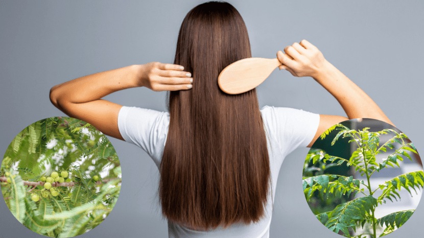 White hair remedy to turn white hair to black curry leaves for and amla juice for white hair