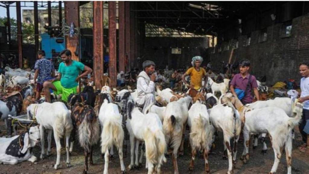 Eid al-Adha (Bakrid