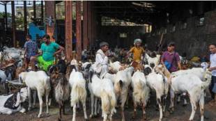 Eid al-Adha (Bakrid