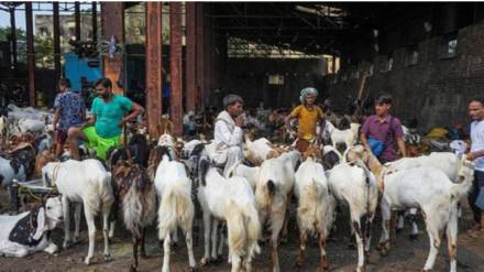 Eid al-Adha (Bakrid