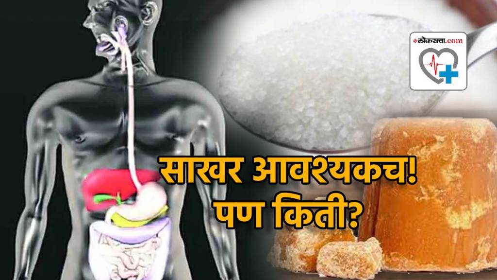 Your body needs 5 grams sugar find out where Extra Sugar goes in Body Your body needs 5 grams sugar find out where Extra Sugar goes in Body