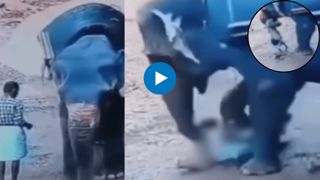 Elephant trampled its owner badly and he lost his life Elephant trampled its owner badly and he lost his life