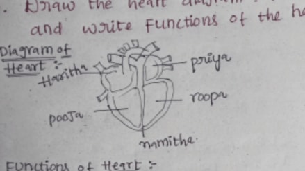 In the exam the student drew a diagram of the heart given the name of the girl in each part of the heart see the viral photo