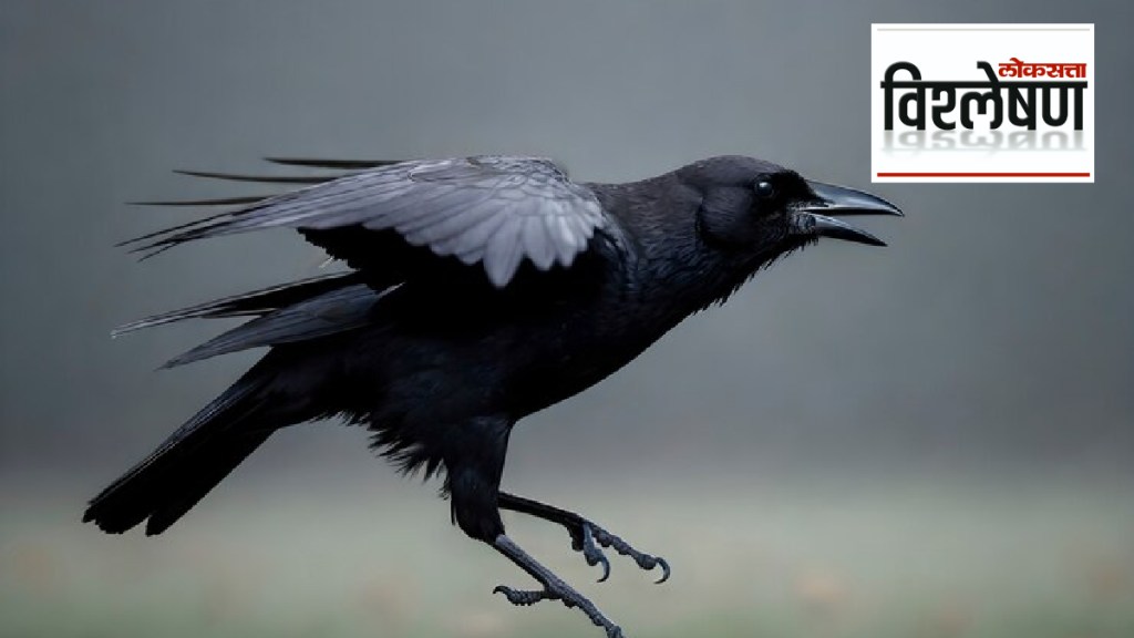 Indian House Crows vs Kenyan government Indian House Crows vs Kenyan government