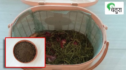 Method of composting mulch wood waste at home