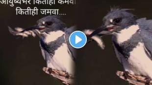 Bird video goes viral