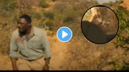 Lion attack on man shocking video goes viral Lion attack on man shocking video goes viral