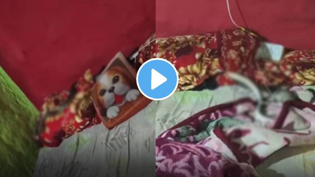 Snake viral video Snake viral video