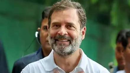 Rahul Gandhi Lok Sabha Election Result 2024 Rahul Gandhi Lok Sabha Election Result 2024