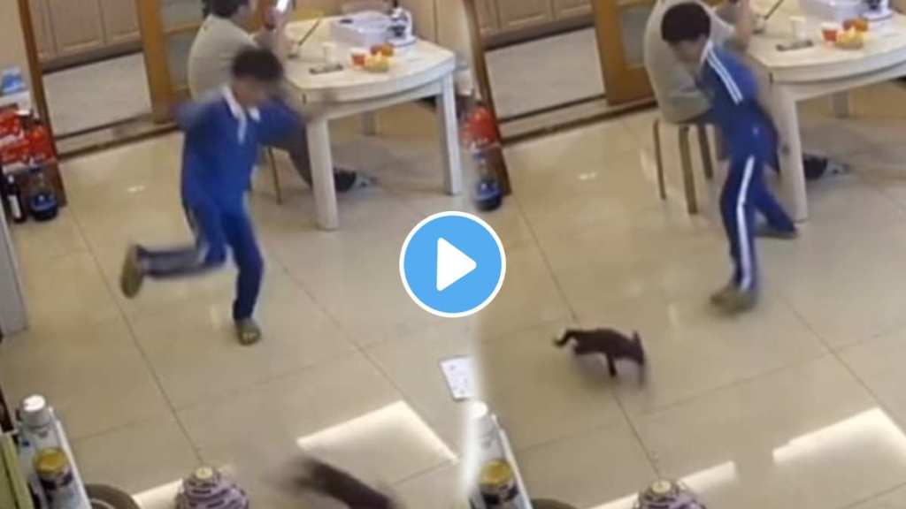 small boy Went to kick the cat and got hit by himself small boy Went to kick the cat and got hit by himself